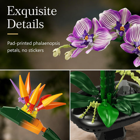 PLAXSOON Orchid Flowers Building Set for Adults, Botanical Collection Decor